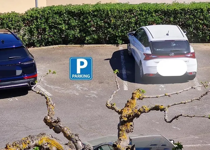 Vue Exceptionnelle Sur La Mer, Piscine, Parking Prive - Sur L'ile Des Pecheurs Διαμέρισμα Agde